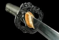 Crimson Eclipse - Hand Forged 65Mn Spring Steel Katana Sword