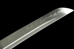 Silent Thunder - Hand Forged T10 Tool Steel Katana Sword