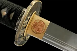 Tempered Frost - Hand Forged T10 Tool Steel Katana Sword