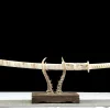 Jade Cold Edge - Hand Forged 1065 Carbon Steel Katana Sword