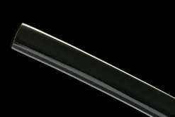 Raven Wing - Hand Forged 1065 Carbon Steel Katana Sword
