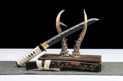 Alternative view of Absolute Solitude - Hand Forged 1045 Carbon Steel Tanto Sword