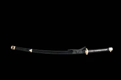 Condemnation - Hand Forged T10 Tool Steel Katana Sword