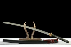 Rising Light - Hand Forged T10 Tool Steel Katana Sword